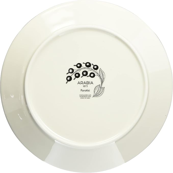 春色3カラー✧ 美品 ライス ディナープレート 2枚セット アラビア - 食器